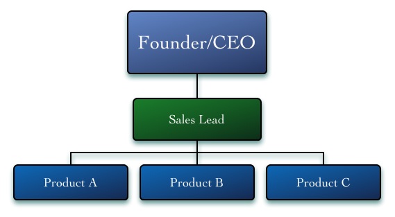 Sales & Marketing Org Structures- Product Specialsts