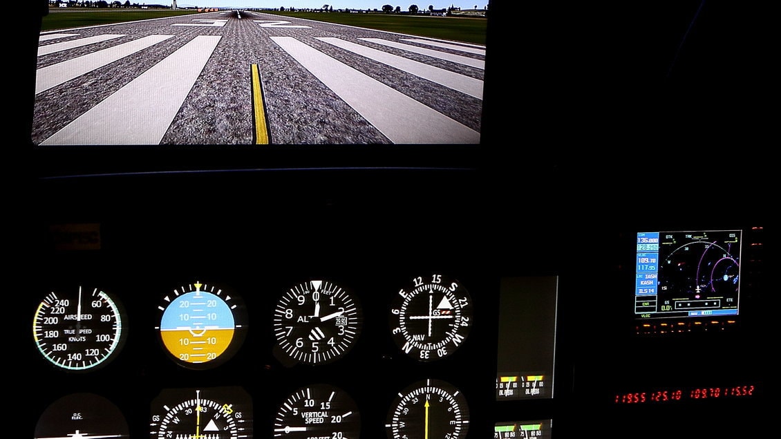 Flight simulator