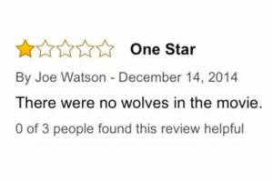 Review - Wolves of Wall Street