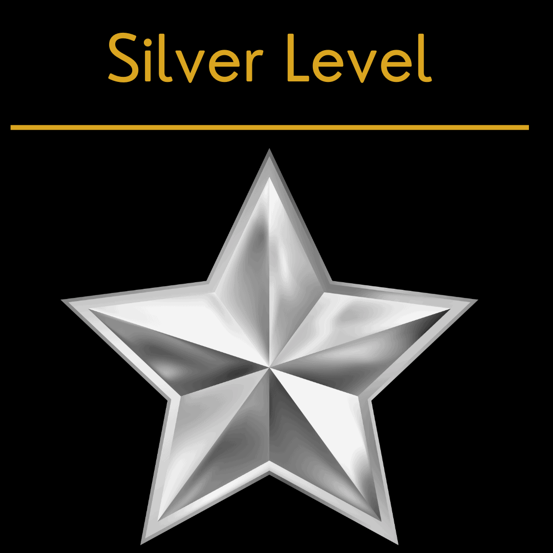 aviation marketing silver