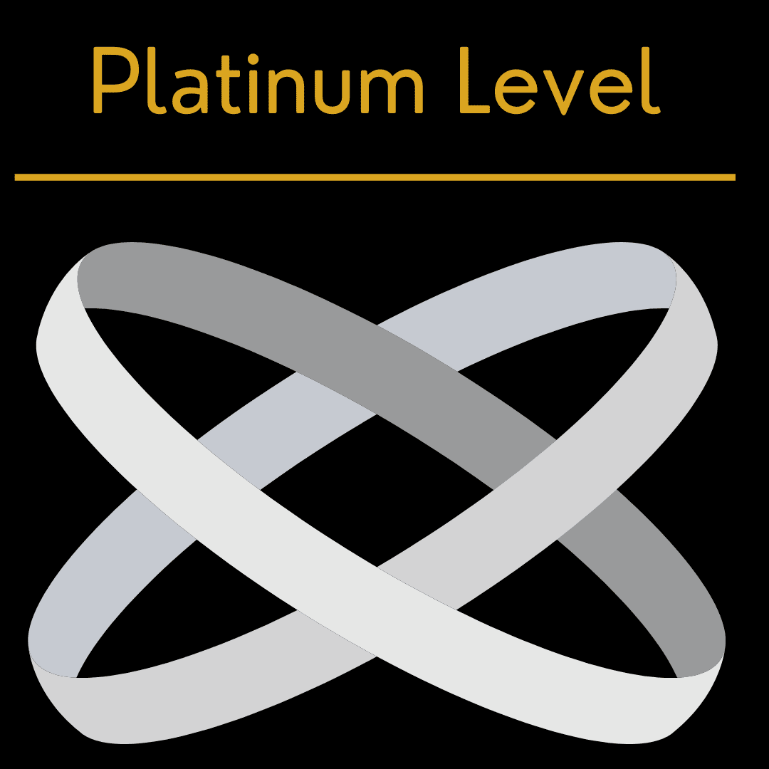 aviation marketing platinum